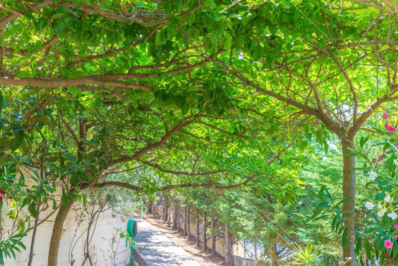 Skroponeria View Apartments Dış mekan fotoğraf